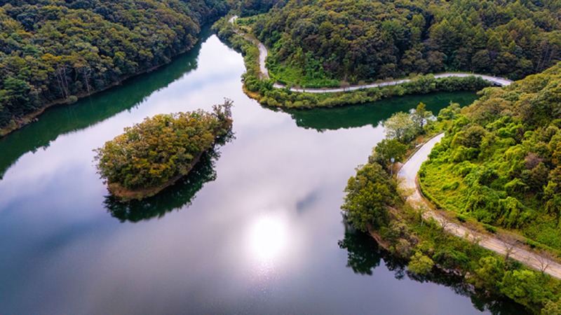 금사천 장흥저수지 복사.jpg