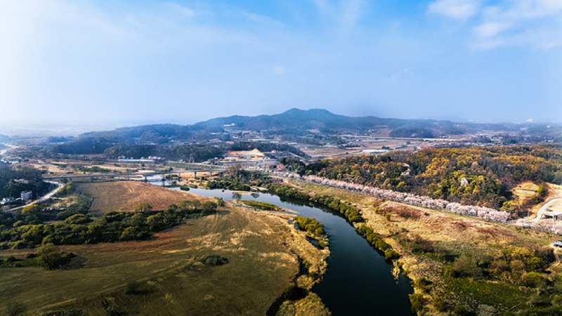 복하천 계신리 벚꽃길 복사.jpg