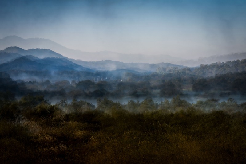 부처울 습지 복사.jpg
