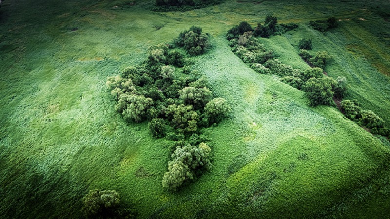 부처울 습지 이미지 사진 복사.jpg
