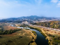 복하천 계신리 벚꽃길 복사.jpg