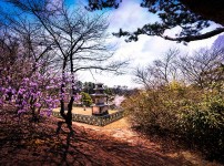 창리 삼층석탑1.jpg